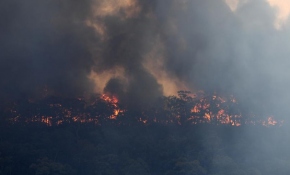 Avustralya'daki yangınlarda 11 milyon futbol sahası büyüklüğünde alan kül oldu