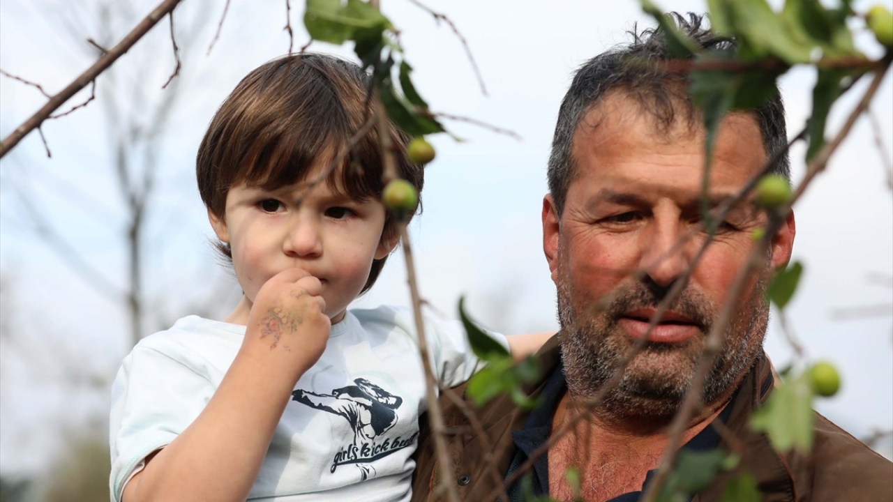 "Aşırı sıcaklar bitkileri strese sokuyor"