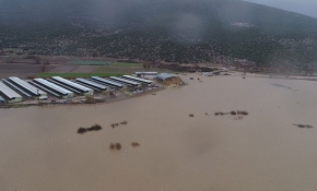 Hırsızlar yüzünden Karacabey Ovası'nı su bastı