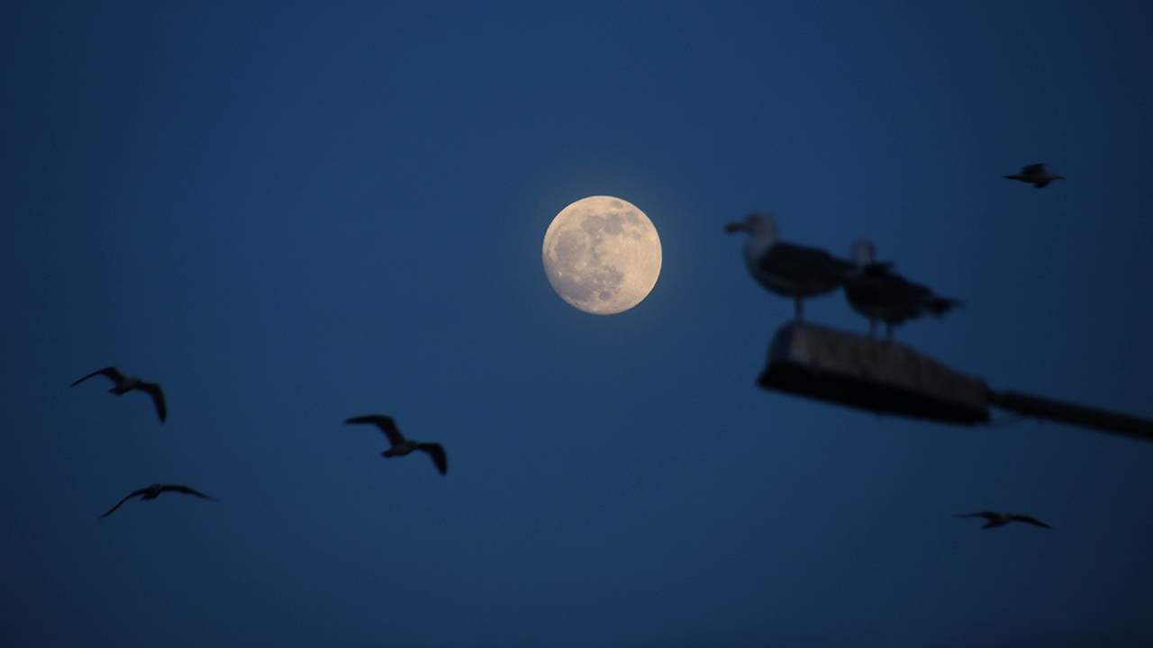 Tekirdağ`da dolunay