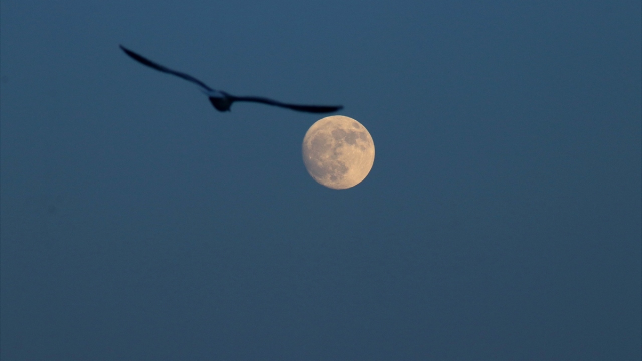 Tekirdağ`da dolunay