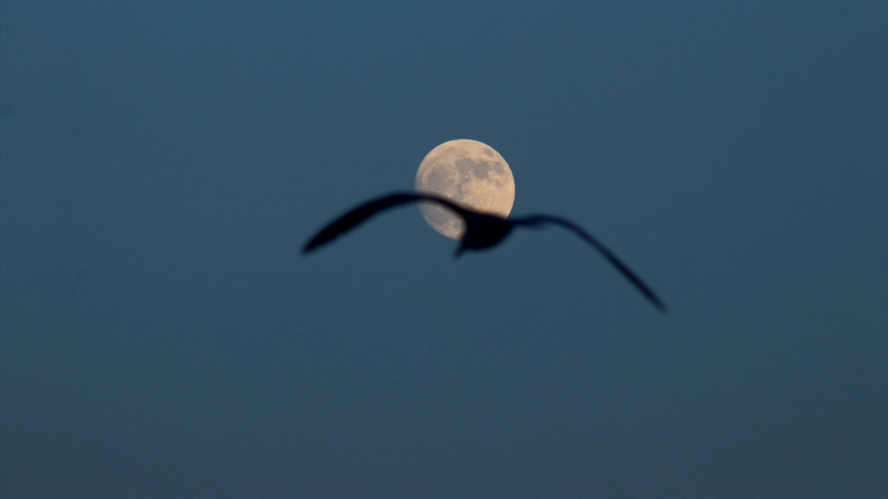 Tekirdağ`da dolunay