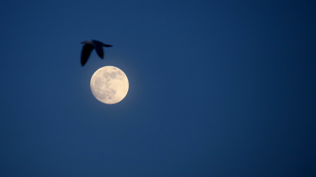 Tekirdağ`da dolunay