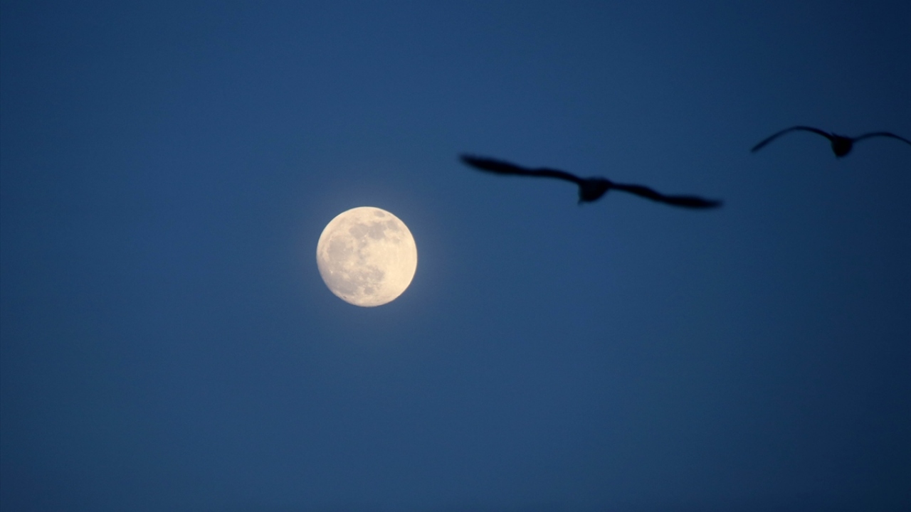 Tekirdağ`da dolunay