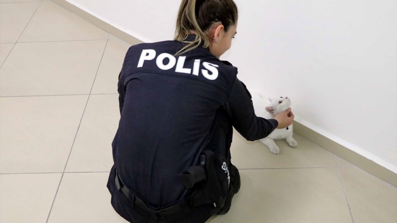 Yaralı kediye sahip bulunamadığında kendisiyle iletişime geçilmesini isteyen Aksoy, daha sonra klinikten ayrıldı. 