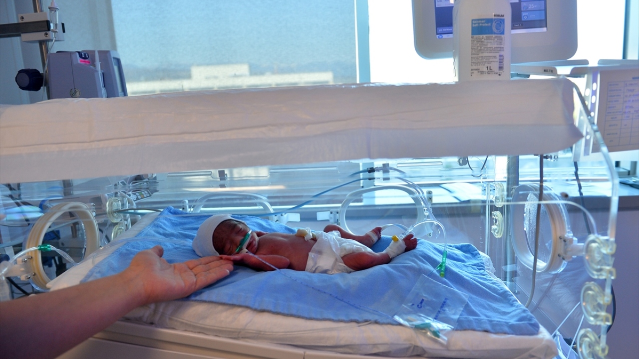 Hammud, Suriye`de zor günler yaşadıktan sonra Türkiye`de hayata tutunduklarını belirterek, "Suriye`de çok acı çektik, üzüntüler yaşadık. Şimdi çok mutluyuz. İnşallah ülkem eski günlerine döner, biz de ailecek oraya gideriz." ifadelerini kullandı.