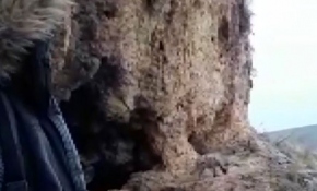 Çizgili sırtlan ile özçekim