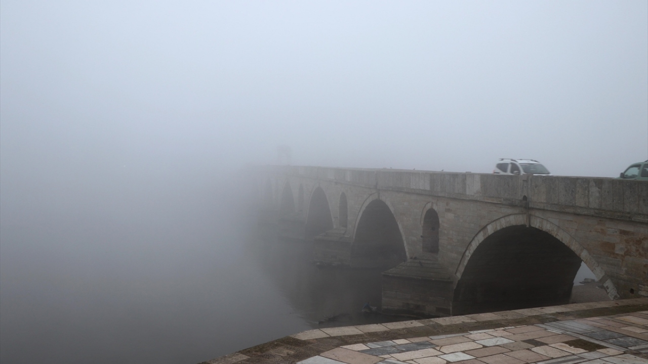 Sis ve soğuk nedeniyle ağaçlarda buzlanma ve kırağı oluştu.