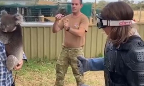 Avustralya'da sunucuya koala şakası