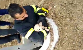Kuyuya düşen yavru köpeği itfaiye kurtardı