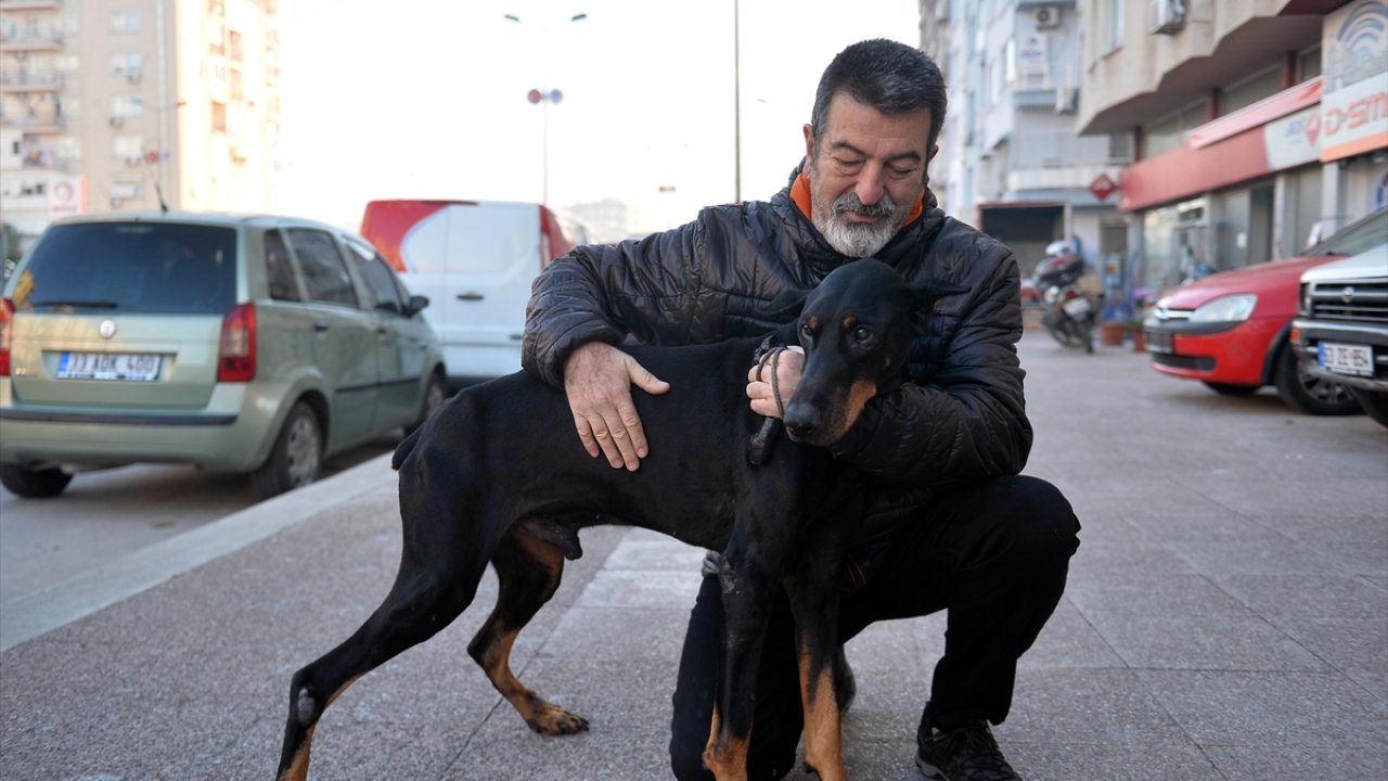 üstten çıkan köpek diş tedavisi