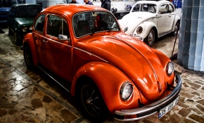 Savaştan barışa uzanan hikaye: Vosvoslar