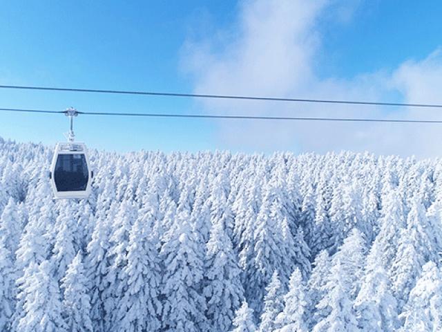 Uludağ'da sisler arasında kar yolculuğu