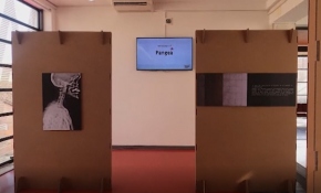 İtalya'da kadına şiddeti gösteren röntgen filmleri sergisi