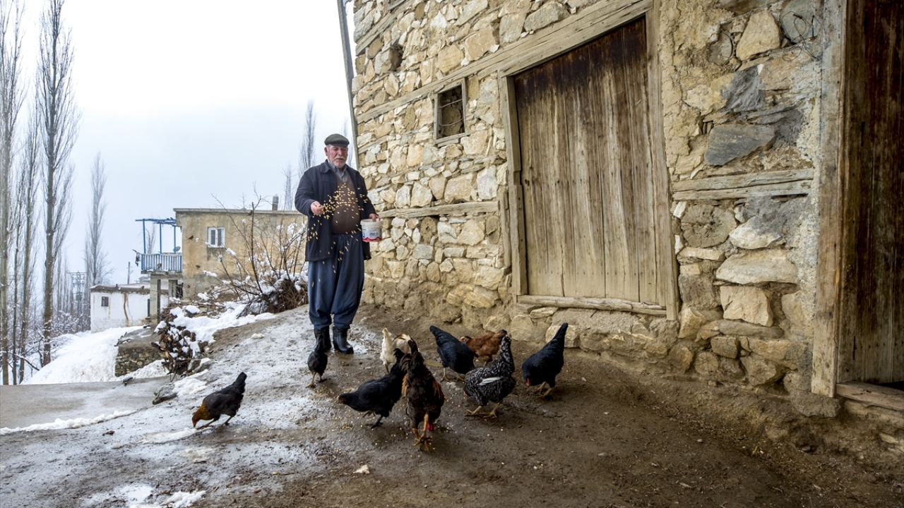 Köyde yaşayan vatandaşlar, ahırlarında ve kümeslerinde baktıkları hayvanlarını beslemeyi ihmal etmiyor.