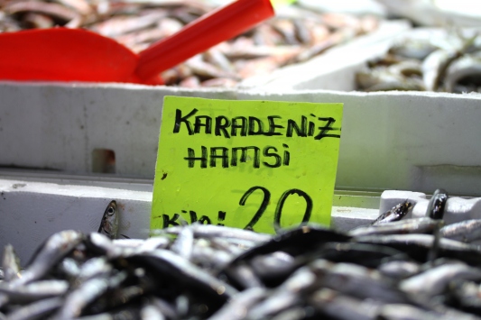 Olumsuz hava şartları hamsinin fiyatını yükseltti