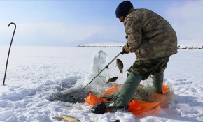 Donan Balık Gölü'nde avcıların ekmek mücadelesi