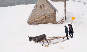 Hakkari'de kar esareti