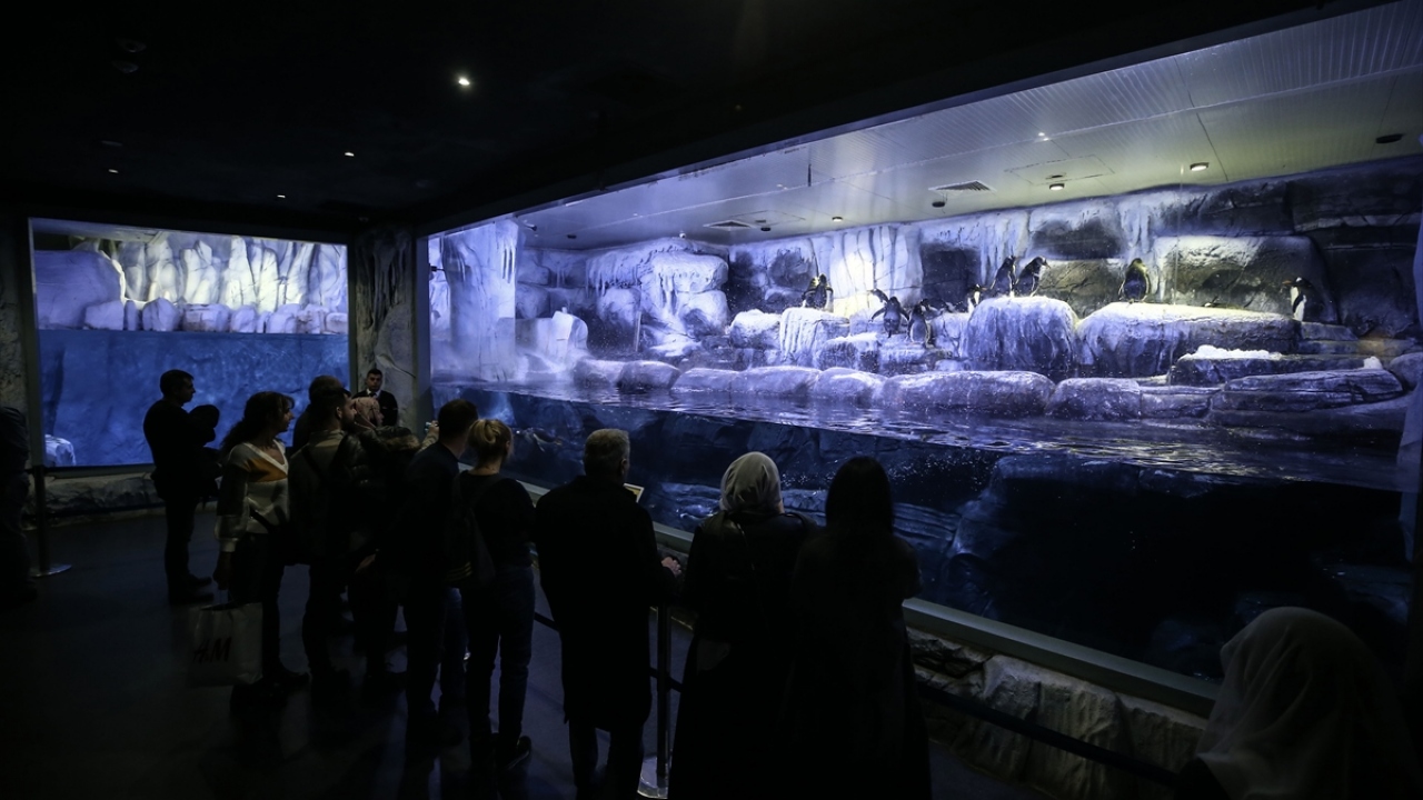 Yabancı ziyaretçiler memnun