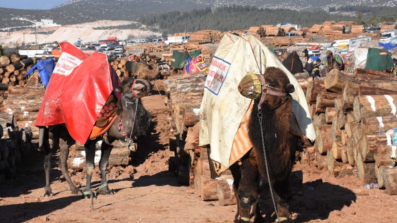Valilikler güreşlere, "Folklorik amaçlı ve güreşen hayvanlara eziyet edilmemesi" şartı ile izin veriyor. 