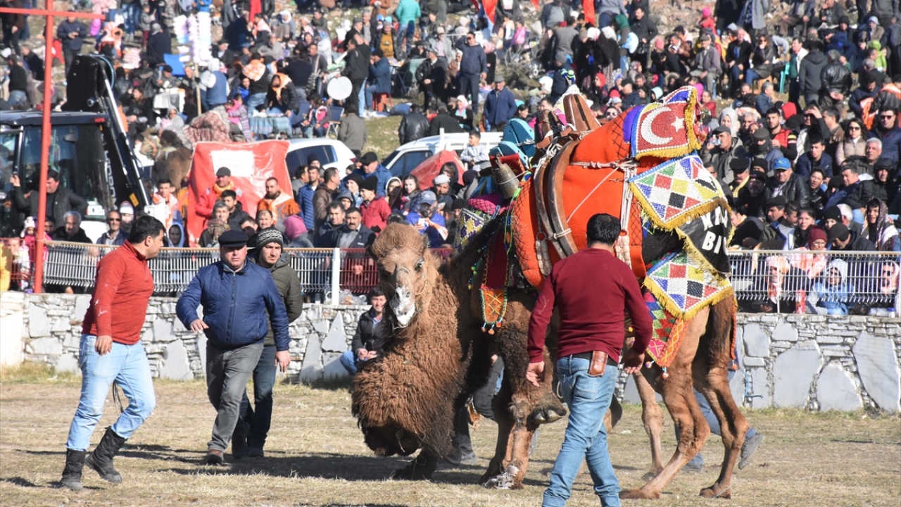 Bazı hayvanseverlerin deve güreşlerine karşı çıktığını söyleyen Akgün, "Biz hayvan sevgisini daha da aşılamak için yapılan her güreşten sonra barınaklara mama yardımında bulunmak istiyoruz. Federasyon olarak böyle bir çalışmamız var." diye konuştu.