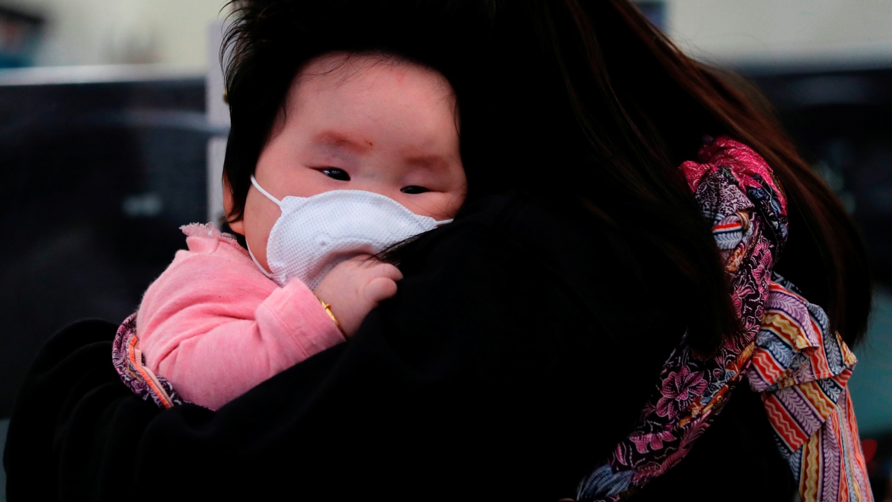 Bazı uzmanlar ise virüslerin porsuk sıçanlarından gelmiş olabileceği görüşünde.