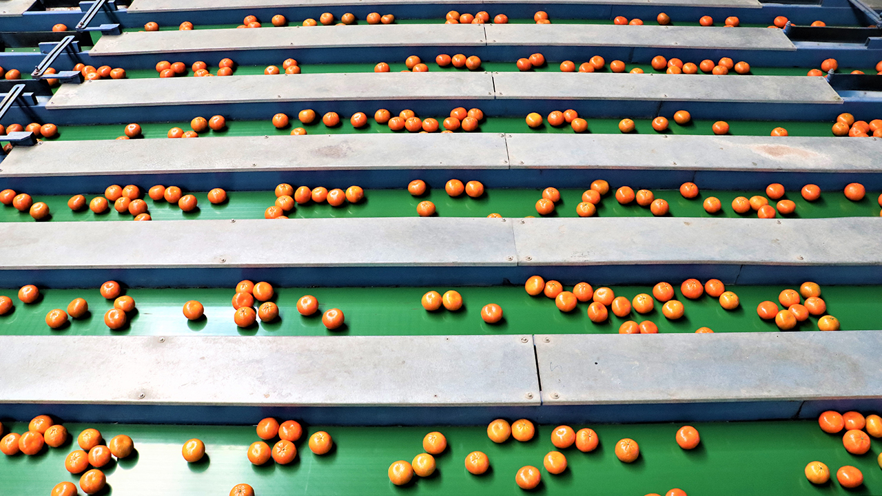 Kaçmaz, yaptığı açıklamada, turunçgilin ülke yaş sebze ve meyve ihracatı içinde yüzde 36`lık payla en önemli alt grubu oluşturduğunu ifade etti.