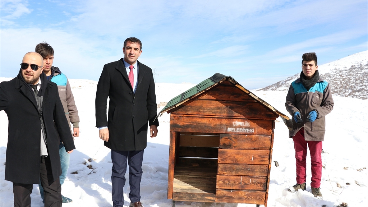 Başkan Güzel, Çiftlik Çok Programlı Anadolu Lisesi ile yürüttüğü proje kapsamında öğrencilerin yaptığı 10 kulübeyi de alana koydurdu, girişine yaptırılan kapıya ise "Köpek Köyü" yazılı tabela astırdı.