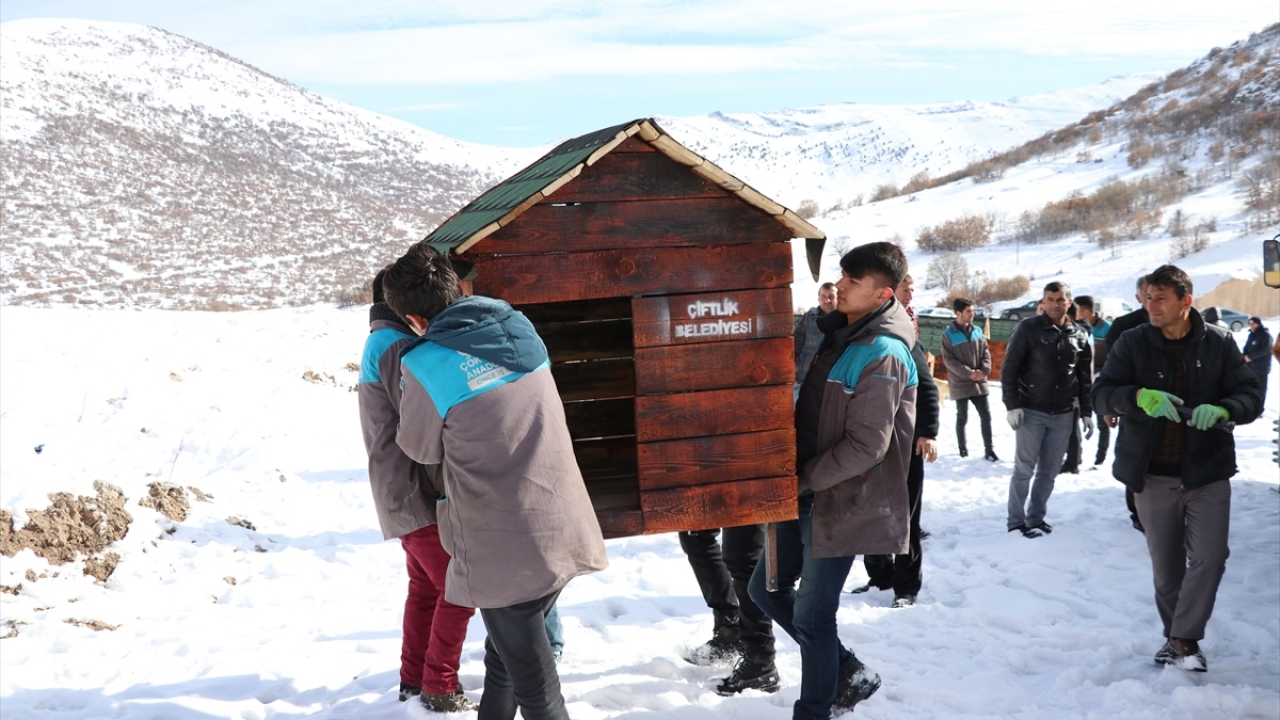 Güzel, gazetecilere yaptığı açıklamada, öğrencilerin de katkısıyla daha çok sokak köpeğine barınma imkanı sunduklarını söyledi.