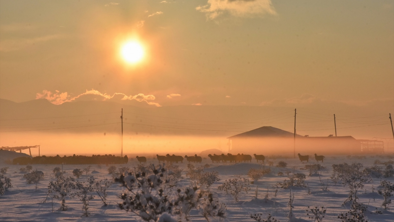 Muş`un Varto ilçesinde kar yağışı nedeniyle ilçe ve köyler beyaza büründü.