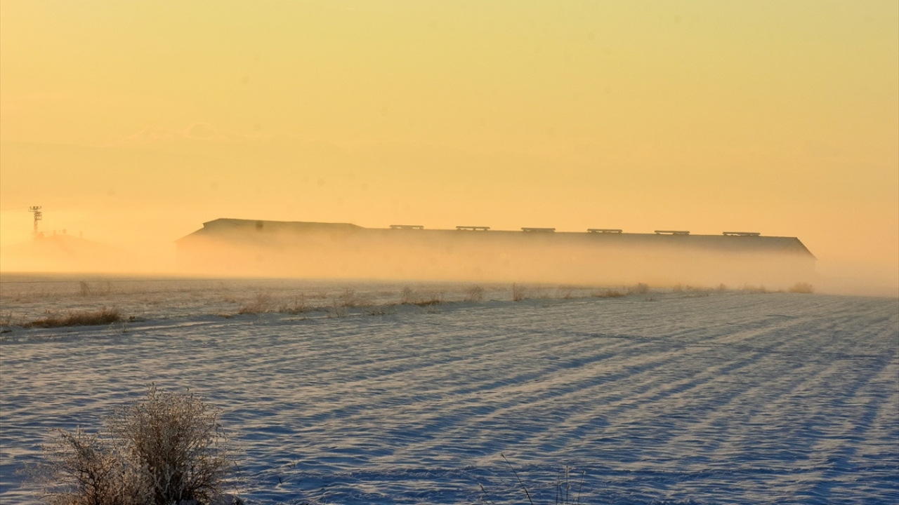 Sabah erken saatlerinde Muş Ovası`nda etkili olan sis güzel görüntü oluşturdu.