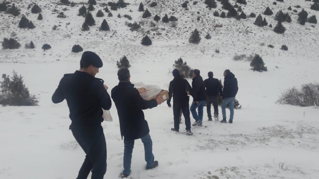 Kayseride yaban hayvanları için doğaya yem bırakıldı