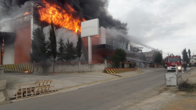 Antalyada narenciye işleme tesisinde yangın