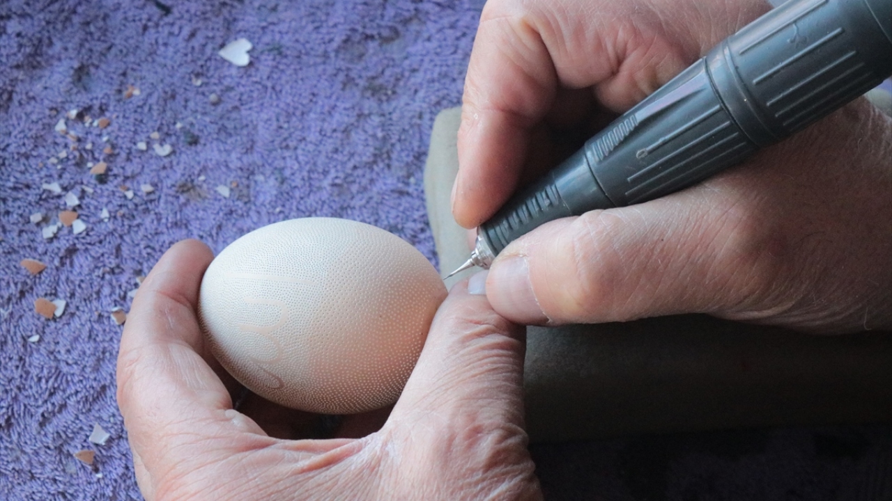 Dünya Yumurta Oyma Sanatı Derneği üyeliğinin yanı sıra Dünya Yumurta Oyma Sanatı Ansiklopedisi`nde de yer alan ilk Türk olan Hayran, kendisine ait olan tavuk yumurtası üzerine 8 bin 708 delik rekorunu 11 bin 827 delikle egale etti.