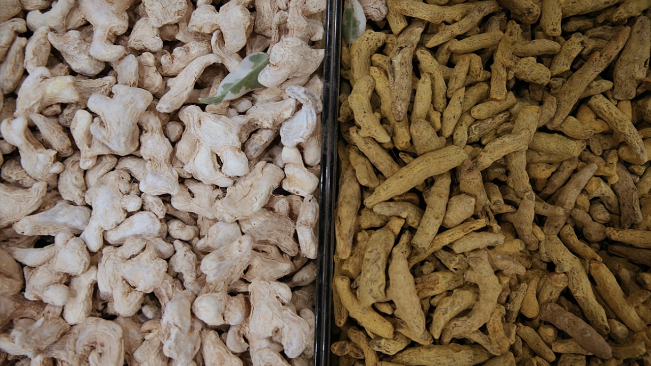 Üçüncü kuşak sektör temsilcisi Eyüpoğlu, yaptıkları işte dürüstlüğün büyük önem taşıdığı ve insan sağlığını direkt ilgilendirdiğini kaydetti. Eyüpoğlu, ilgili kurumlardan bu sektörde hizmet eden insanlara eğitim verilmesini de istedi.