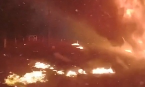 Avustralya'da orman yangınlarının hızı videoyla görüntülendi