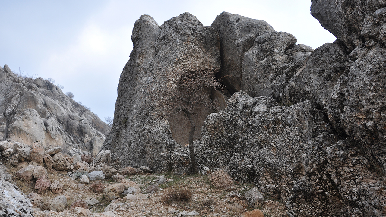 İl Kültür ve Turizm Müdürlüğü ekiplerinin bölgede incelemelerde bulunduğu ve hazırladıkları raporu gerekli çalışmaların başlatılabilmesi için Kültür ve Turizm Bakanlığına sunacağı öğrenildi.