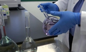 Biyoteknoloji ile yapay organ ve doku üretilebiliyor