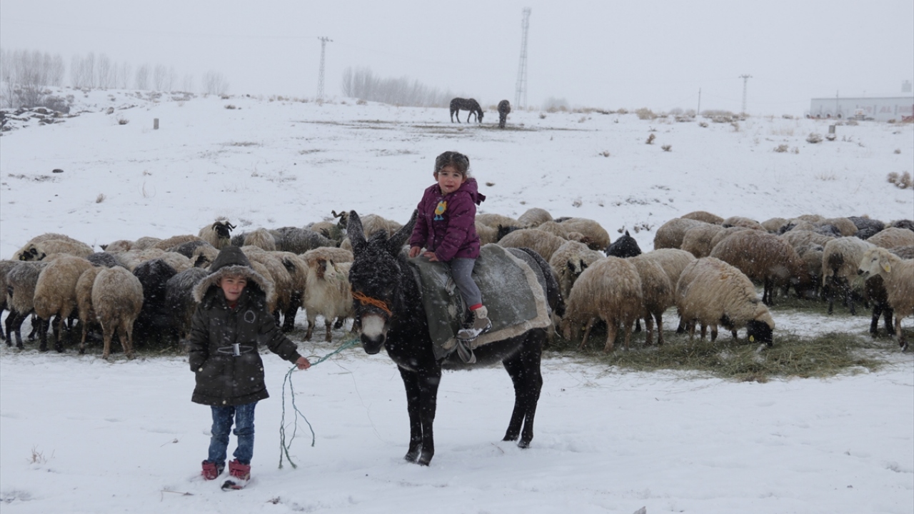Çetin kış şartlarının yaşandığı mahallede güçlükle hayvanlarının bakımını yapan küçükbaş hayvan yetiştiricileri, erken başlayan kuzu doğumları nedeniyle fazla mesai yapıyor.