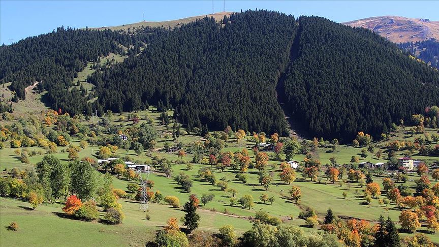 08-Artvin