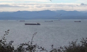 'Tam fırtına' uyarısı yapıldı, yük gemileri Sinop doğal limanına sığındı