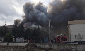 Manisa'da plastik fabrikasında yangın çıktı