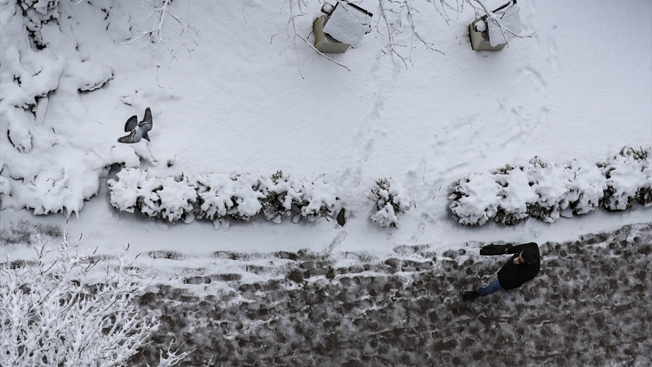 Fotoğraf: AA, TRT Haber