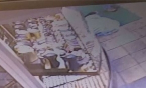 Hayvansever üşüyen köpeğin üzerini battaniyeyle örttü