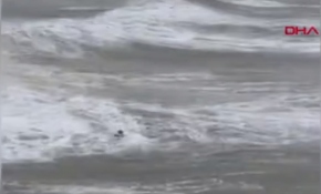 İngiltere'de dalgalar arasında kalan sörfçüyü kurtarma operasyonu