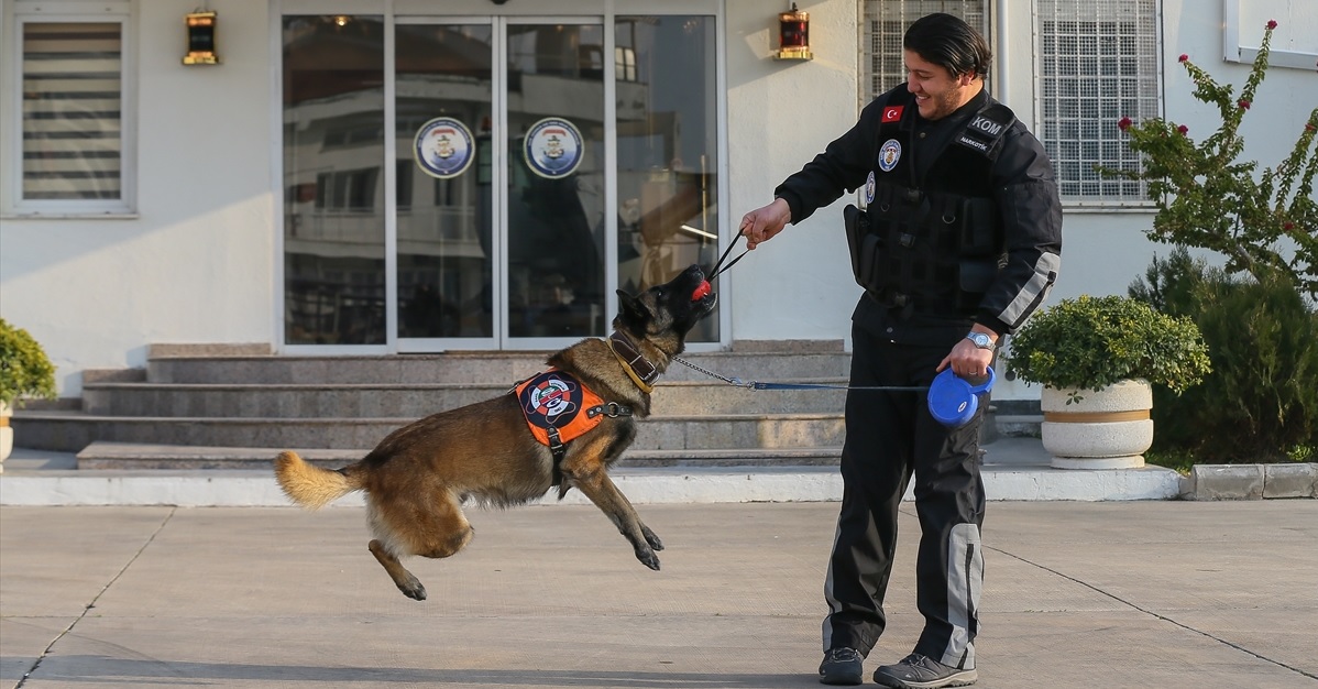 Eğitmeni Uzman Çavuş Muhammet Arıkan ile her gün rutin eğitimlerini sürdüren Barut, denizlerde katıldığı operasyonlarda üstün başarı gösteriyor. 