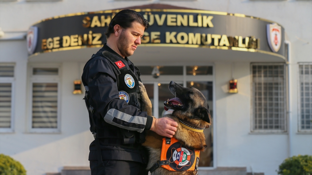 Zehir tacirlerinin güvenlik güçlerini atlatabilmek için denediği yöntemleri keskin koku alma yeteneğiyle bozan "Barut", 7 yılda 95 operasyona katılarak 11 ton uyuşturucunun ele geçirilmesinde önemli rol üstendi.