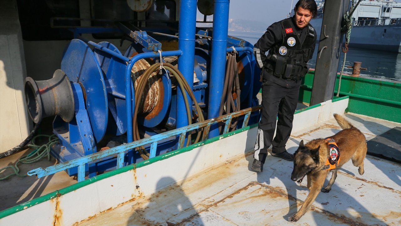 İzinli olduğu günlerde dahi Barut`u yakından takip ettiğini ifade eden Arıkan, bu dönemde de bakımlarını kontrol ettiğini belirtti.
