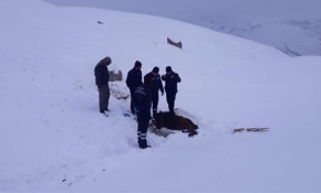 Hakkari'de soğukta ayakları donan at kurtarıldı