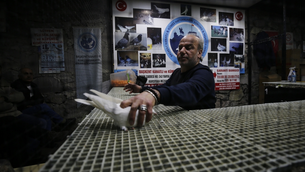 Dernek Başkanı Metin Baltacı, yaptığı açıklamada, güvercin mezadına toplumun her kesiminden ilgi gösterildiğini belirtti. 